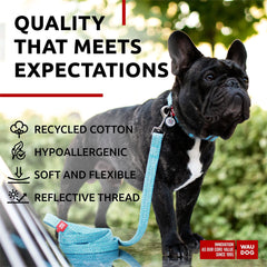 EcoPup Blue Leash & Collar Set