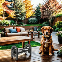 Adjustable Pet Bowl – Travel Ready & Sustainable
