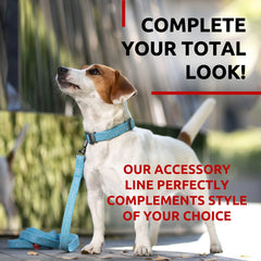 EcoPup Blue Leash & Collar Set