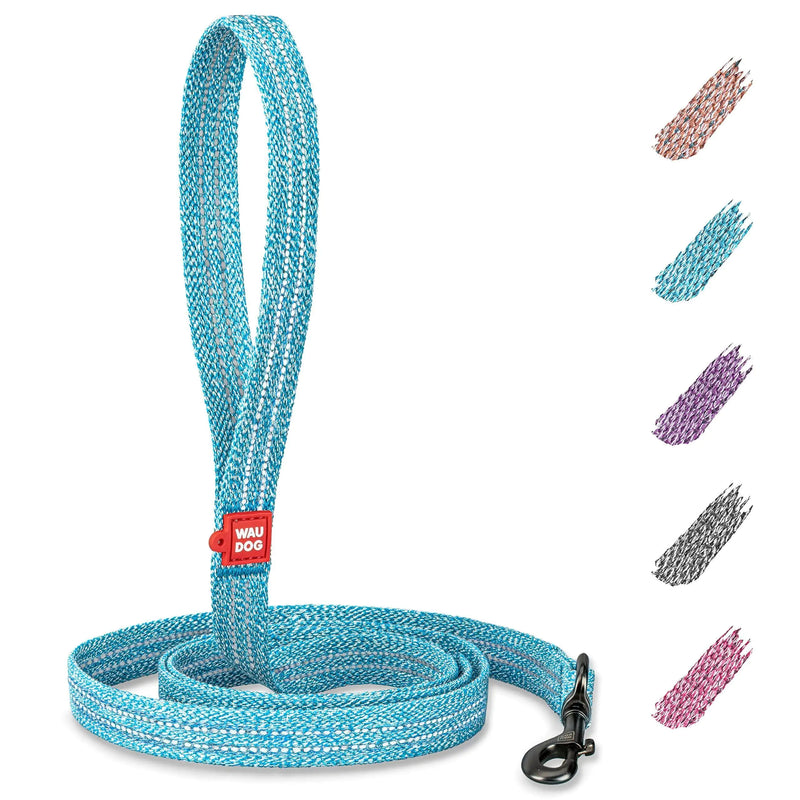 EcoPup Blue Leash & Collar Set