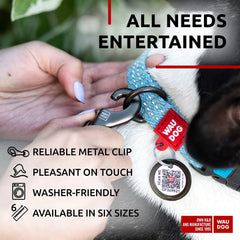 EcoPup Blue Leash & Collar Set