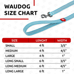 EcoPup Blue Leash & Collar Set